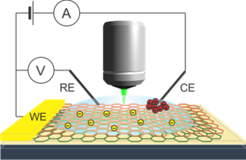 Spectroelectrochemistry