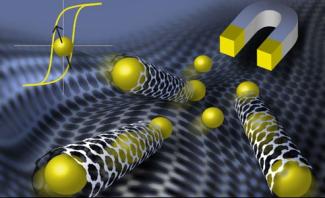 Magnetism and nanocarbons